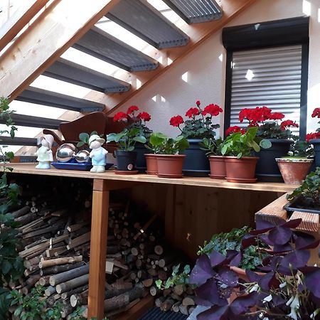 Apartchalet Sisi- Including Saalfelden Leogang Card Екстериор снимка